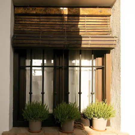 Arco Elvira - Abarqueros Suite - Albaycin Granada Buitenkant foto